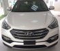 Hyundai Santa Fe 2018 - Bán Hyundai Santa fe 2018 CKD máy dầu, bản full giá cực tốt, hỗ trợ đầy đủ