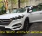 Hyundai Tucson 2018 - Bán Hyundai Tucson 2018 tại Đà Nẵng, LH: 0935536365, Trọng Phương, đủ màu, giao luôn, nhận giá tốt nhất