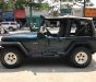 Jeep Wrangler MT 1995 - Cần bán lại xe Jeep Wrangler đời 1995, màu xanh lam, nhập khẩu số sàn