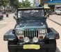 Jeep Wrangler MT 1995 - Cần bán lại xe Jeep Wrangler đời 1995, màu xanh lam, nhập khẩu số sàn