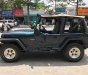 Jeep Wrangler MT 1995 - Cần bán lại xe Jeep Wrangler đời 1995, màu xanh lam, nhập khẩu số sàn