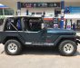 Jeep Wrangler MT 1995 - Cần bán lại xe Jeep Wrangler đời 1995, màu xanh lam, nhập khẩu số sàn