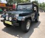 Jeep Wrangler MT 1995 - Cần bán lại xe Jeep Wrangler đời 1995, màu xanh lam, nhập khẩu số sàn