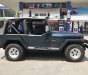Jeep Wrangler 1995 - Bán xe Jeep Wrangler đời 1995, xe nhập số sàn giá cạnh tranh