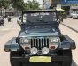 Jeep Wrangler 1995 - Bán xe Jeep Wrangler đời 1995, xe nhập số sàn giá cạnh tranh