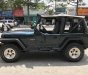 Jeep Wrangler 1995 - Bán xe Jeep Wrangler đời 1995, xe nhập số sàn giá cạnh tranh