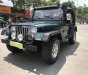 Jeep Wrangler 1995 - Bán xe Jeep Wrangler đời 1995, xe nhập số sàn giá cạnh tranh