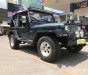 Jeep Wrangler 1995 - Bán xe Jeep Wrangler đời 1995, xe nhập số sàn giá cạnh tranh