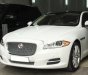 Jaguar XJ series L 2014 - Bán ô tô Jaguar XJ series L sản xuất 2014, màu trắng, nhập khẩu chính chủ