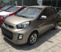 Kia Morning  1.0 MT. 2017 - Cần bán xe Morning màu vàng cát tại Đồng Nai, mới 100%, giá 300tr