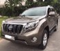 Toyota Prado 2014 - Chính chủ bán Toyota Prado đời 2014, màu nâu, nhập khẩu