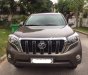 Toyota Prado 2014 - Chính chủ bán Toyota Prado đời 2014, màu nâu, nhập khẩu