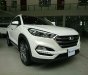 Hyundai Tucson Limited 2.0 AT FWD 2017 - Bán Hyundai Tucson 2017 CKD - LH: 0963.393.983