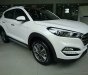 Hyundai Tucson Limited 2.0 AT FWD 2017 - Bán Hyundai Tucson 2017 CKD - LH: 0963.393.983