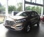 Hyundai Tucson 2.0 2017 - Bán Hyundai Tucson 2.0 máy xăng, bản tiêu chuẩn đời 2017, màu nâu tại Đắk Lắk