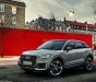 Audi 2017 - Bán xe Audi Q2 nhập khẩu tại Đà Nẵng, chương trình khuyến mãi lớn, Audi Đà Nẵng