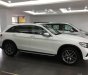 Mercedes-Benz GLK Class  GLC300 2017 - Bán Mercedes GLC300 năm 2017, màu trắng, nhập khẩu