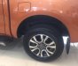 Ford Ranger Wildtrak  3.2L 2017 - Bán Ford Ranger 3.2L 2017, xe nhập, chỉ cần 140tr nhận xe ngay- LH: 0938 055 993 Ms. Tâm