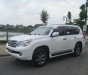 Lexus GX 460 2011 - Cần bán lại xe Lexus GX 460 đời 2011, màu trắng, xe nhập