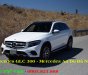 Mercedes-Benz GLC-Class  300 2017 - Cần bán Mercedes GLC 300 đời 2017, màu trắng, nhập khẩu nguyên chiếc