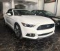 Ford Mustang Ecoboost 2.3L 2016 - Cần bán xe Ford Mustang Ecoboost 2.3L sản xuất 2016, màu trắng, xe nhập