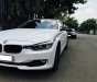 BMW 3 Series 320i 2013 - BMW 320i ĐK 2014, xe nhập khẩu, nâng cấp full options, có đổi xe