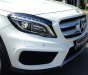 Mercedes-Benz GLK Class GLA250 2014 - Cần bán xe Mercedes GLA250 đời 2014, màu trắng, nhập khẩu nguyên chiếc đẹp như mới