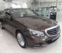 Mercedes-Benz E class  E200  2014 - Bán Mercedes E200 sản xuất 2014, màu nâu