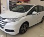 Honda Odyssey 2017 - Bán Honda Odyssey, màu trắng, nhập khẩu, hỗ trợ vay 80%