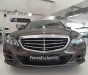 Mercedes-Benz E class  E200  2014 - Bán Mercedes E200 sản xuất 2014, màu nâu