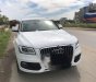 Audi Q5 2015 - Cần bán gấp Audi Q5 đời 2015, màu trắng, nhập khẩu nguyên chiếc