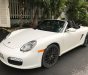 Porsche Boxster 2008 - Bán ô tô Porsche Boxster đời 2008, màu trắng, nhập khẩu nguyên chiếc