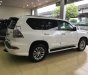 Lexus GX460 2013 - Bán ô tô Lexus GX460 2013, màu trắng xuất Mỹ, đk 2014