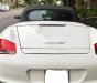 Porsche Boxster 2008 - Bán ô tô Porsche Boxster đời 2008, màu trắng, nhập khẩu nguyên chiếc