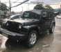 Jeep Wrangler 2009 - Cần bán gấp Jeep Wrangler sản xuất 2009, nhập khẩu nguyên chiếc