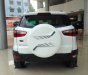 Ford EcoSport 1.5P ​​Trend MT 2017 - Cần bán xe Ford EcoSport 1.5P ​​Trend MT mới tại Điện Biên, màu trắng, giá cạnh tranh