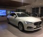 Volvo S90 2017 - Volvo S90 phiên bản cực hiếm 2017, nhập trực tiếp từ Thụy Điển