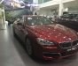 BMW 6 Series 2017 - Bán ô tô BMW 6 Series 2017, màu đỏ, nhập khẩu