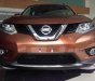 Nissan X trail 2016 - Cần bán lại xe Nissan X trail đời 2016, màu nâu giá cạnh tranh