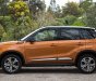 Suzuki Grand vitara 2016 - Bán Suzuki Grand Vitara đời 2016, hai màu, nhập khẩu, 679 triệu