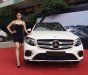 Mercedes-Benz GLC-Class GLC300 2017 - Cần bán xe Mercedes GLC300 đời 2017, màu trắng, xe nhập