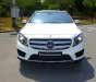 Mercedes-Benz GLA-Class GLA250 2015 - Bán Mercedes GLA250 sản xuất 2015, màu trắng, nhập khẩu đẹp như mới