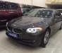 BMW 5 Series 520i 2013 - Bán BMW 5 Series 520i đời 2013, màu nâu số tự động