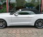 Ford Mustang 2.3 EcoBoost 2015 - Ford Mustang 2.3 EcoBoost 2015