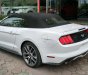 Ford Mustang 2.3 EcoBoost 2015 - Ford Mustang 2.3 EcoBoost 2015