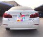 BMW 5 Series 520i 2014 - Bán ô tô BMW 5 Series 520i đời 2014, màu trắng, nhập khẩu nguyên chiếc đẹp như mới