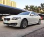 BMW 5 Series 520i 2014 - Bán ô tô BMW 5 Series 520i đời 2014, màu trắng, nhập khẩu nguyên chiếc đẹp như mới