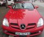 Mercedes-Benz SLK class SLK200 2010 - Bán Mercedes SLK200 đời 2010, màu đỏ, xe nhập, giá chỉ 980 triệu