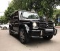 Mercedes-Benz G class G63 AMG 2015 - Cần bán xe Mercedes G63 AMG đời 2015, màu đen, xe nhập