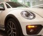 Volkswagen New Beetle 2017 - Bán ô tô Volkswagen New Beetle 2017, màu trắng